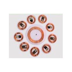 Specimen Track 125 kHz Clear Disc RFID Tag