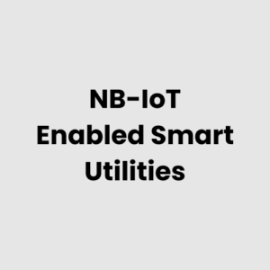 NB-IoT Enabled Smart Utilities