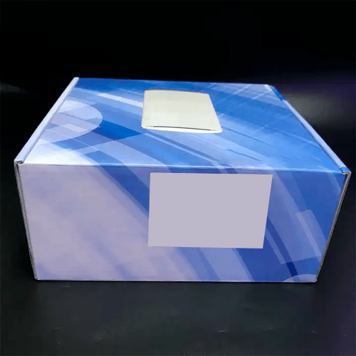 5G LTE CPE Router with NR Support and 1.4 GHz ARM Processor - Specimen Track - Image 5