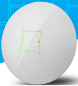 Specimen Track 300 Mbps Wireless Access Point