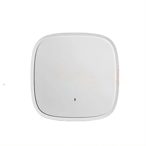 High-Speed Wi-Fi AP 802.11ac, 1000 Mbps, Dual-Band, WPS/WDS - Specimen Track