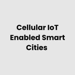 Cellular IoT Enabled Smart Cities