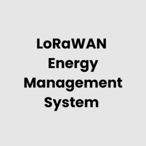 LoRaWAN  Energy Management System