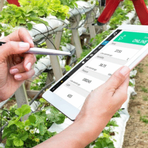 LoRaWan for Yield Estimation - Cloud, Server, PC and Mobile Systems