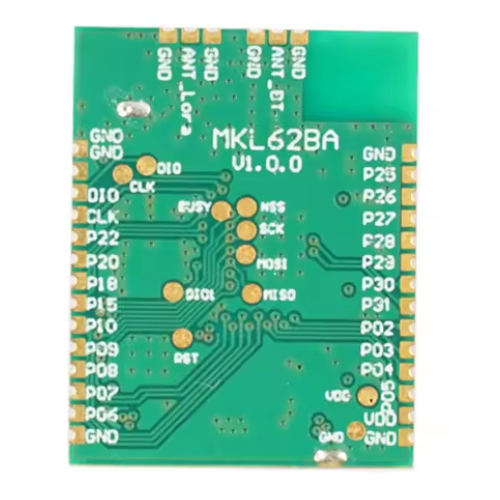 LoRaWAN Module Nordic (LoRa) Built-in TCXO 34 pins - Specimen Track - Image 2