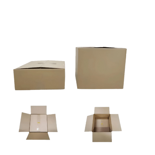 Specimen Track Ethernet Switch - Image 2